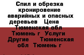 Спил и обрезка (кронировение) аварийных и опасных деревьев › Цена ­ 1 - Тюменская обл., Тюмень г. Услуги » Другие   . Тюменская обл.,Тюмень г.